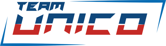 TEAM ÚNICO